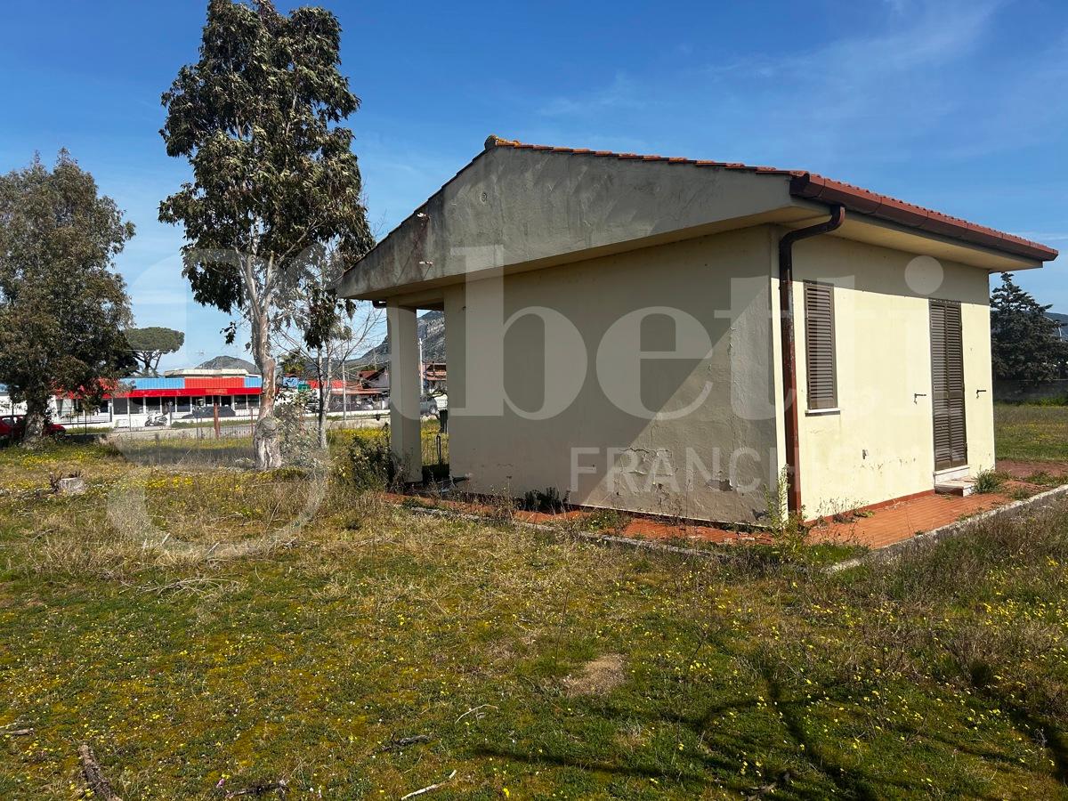 immagine annuncio 7 di 8