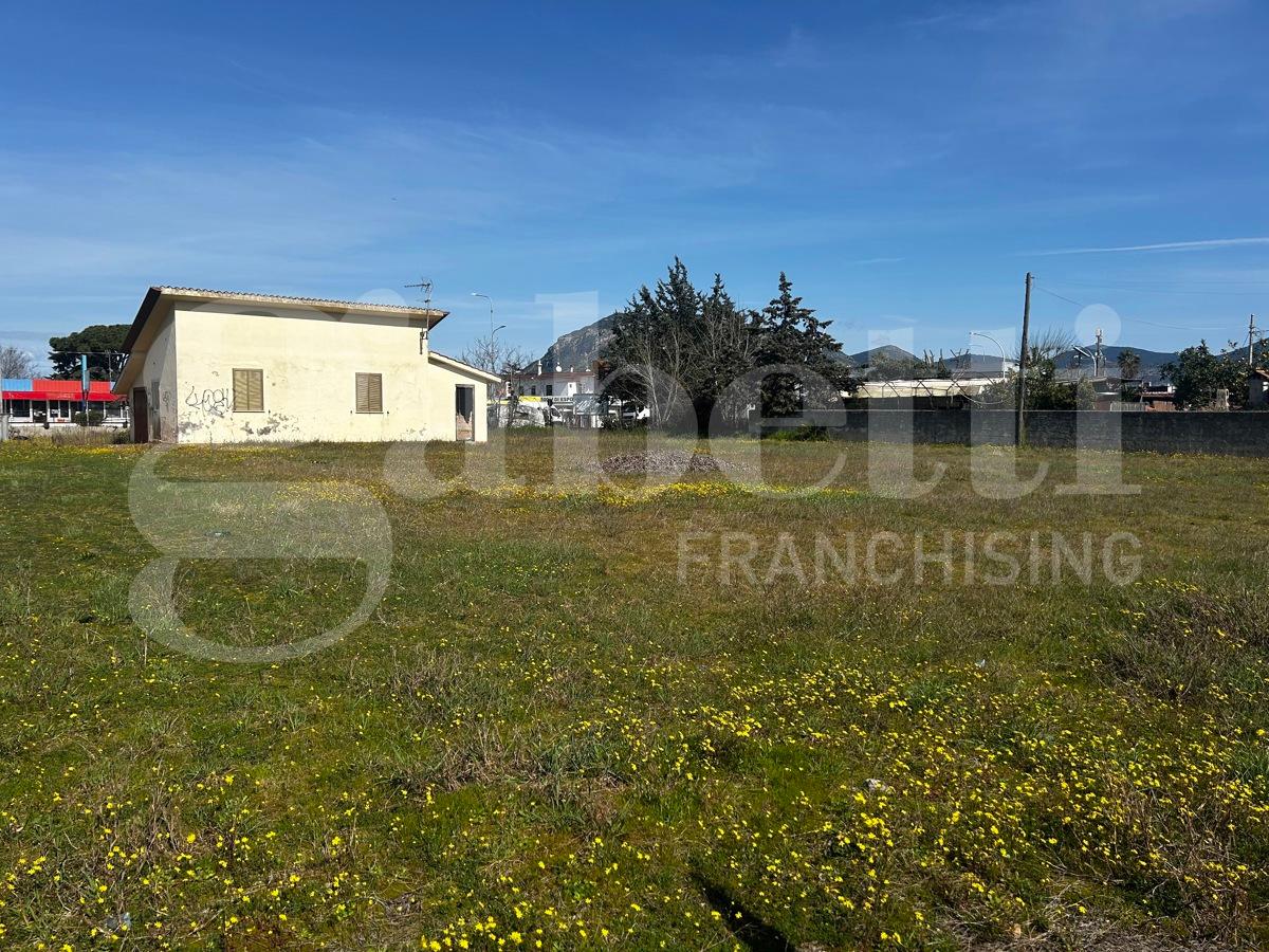 immagine annuncio 4 di 8