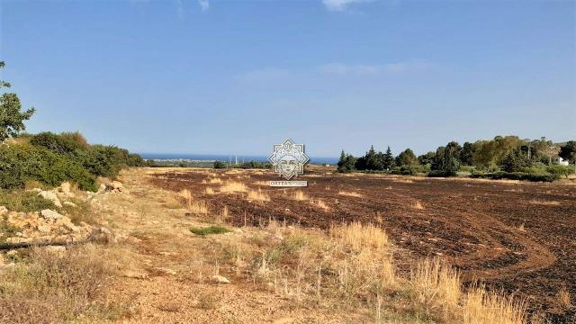 Terreno agricolo in Sp 38, Noto - Foto 1