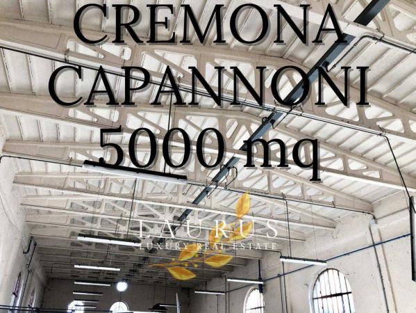 Capannone in , Azzanello, {3} - Foto 1