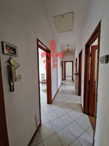insertion image