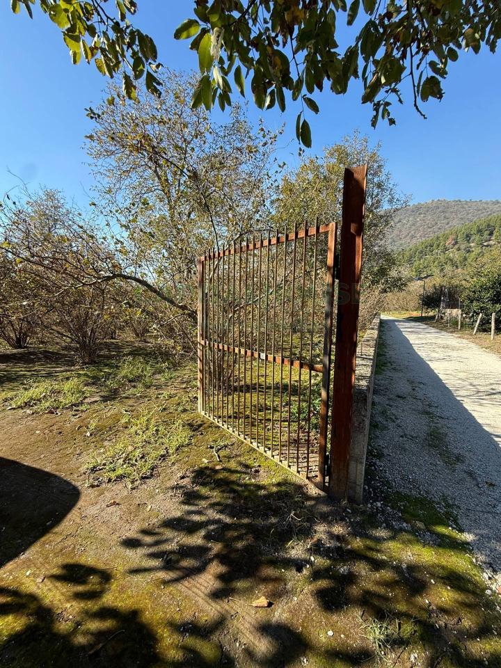 immagine annuncio 6 di 9