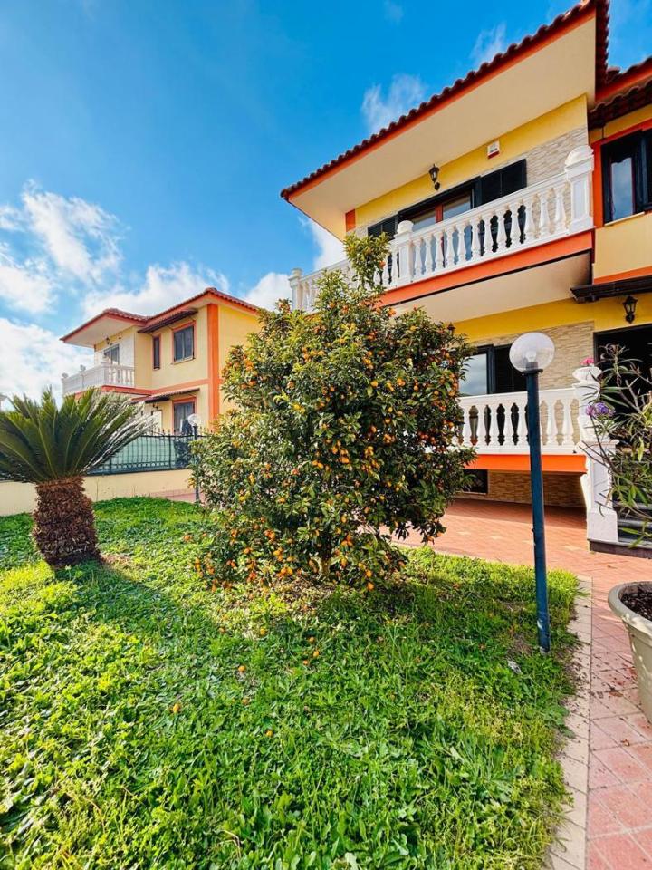 immagine annuncio 1 di 11