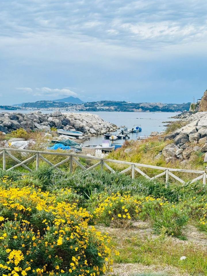 immagine annuncio 1 di 12