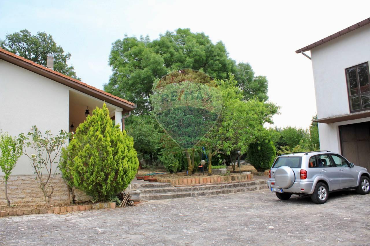 immagine annuncio 11 di 14