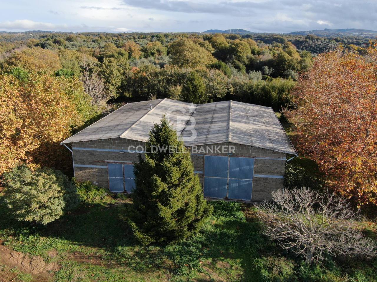 Azienda agricola in Località Montemaria Snc, Cellere, {3} - Foto 1