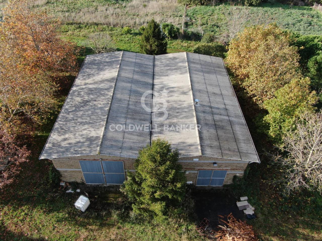 Azienda agricola in Località Montemaria Snc, Cellere, {3} - Foto 2