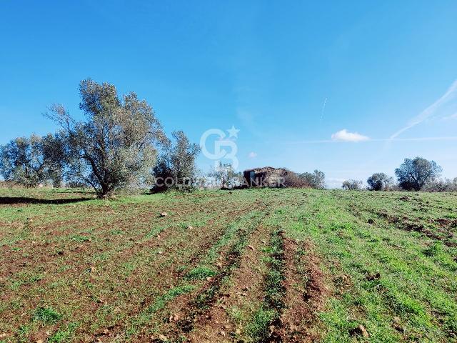 Rustico in {3}, Località Vepre Snc - Foto 1