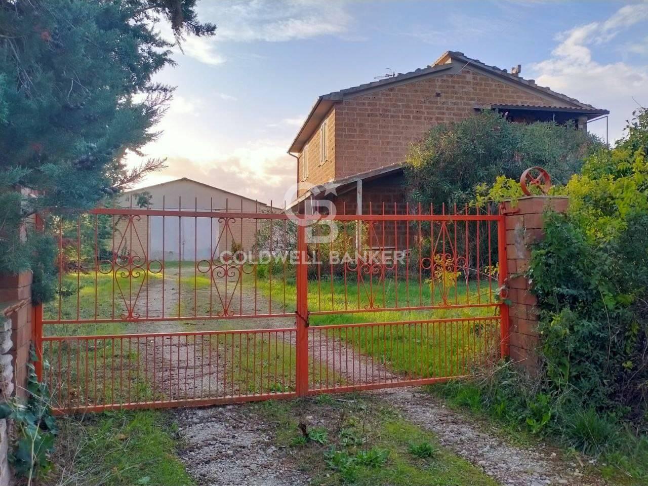 Azienda agricola in Via Case Sparse Gretacci Snc, Scansano, {3} - Foto 2