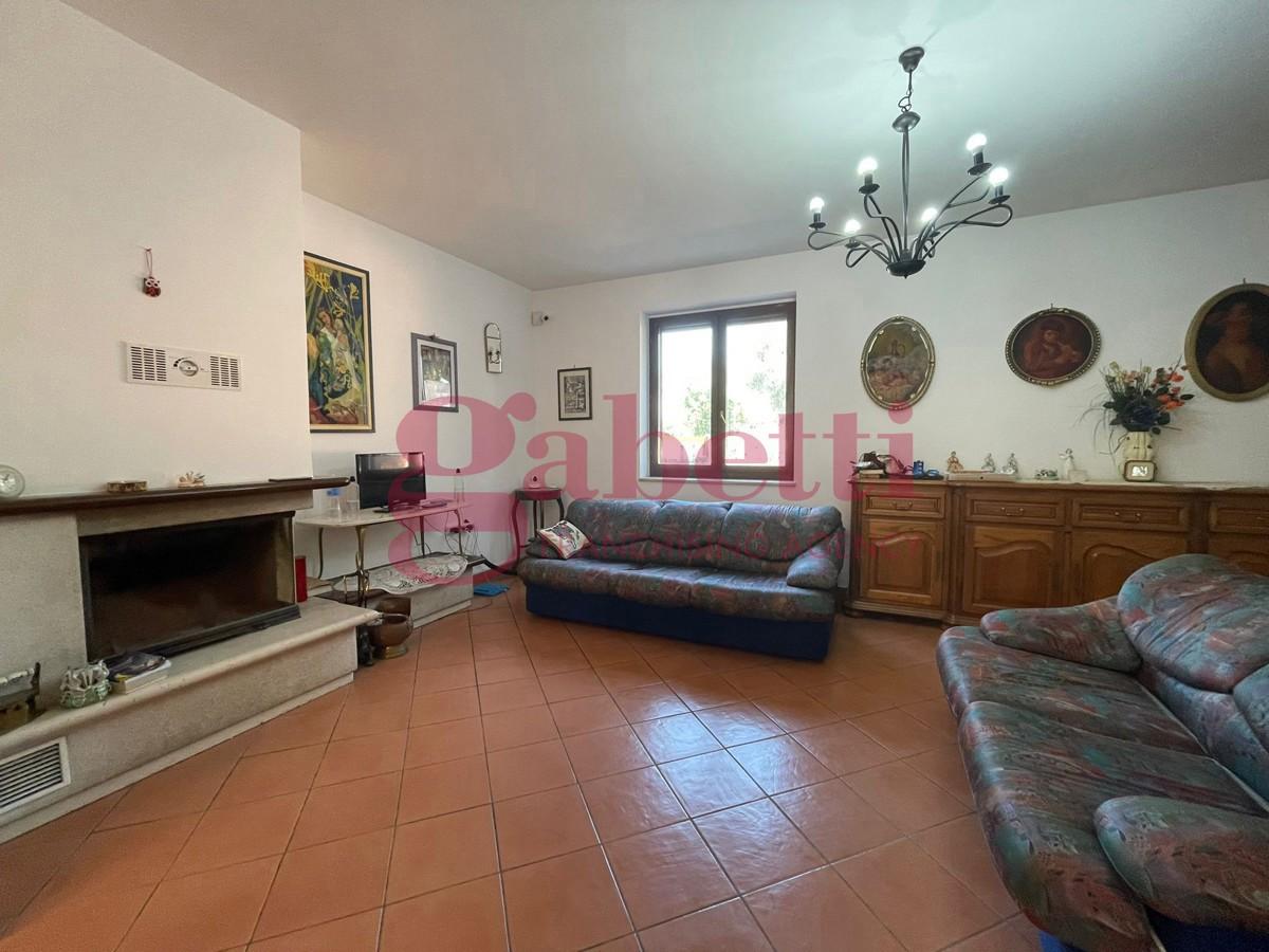 immagine annuncio 5 di 12
