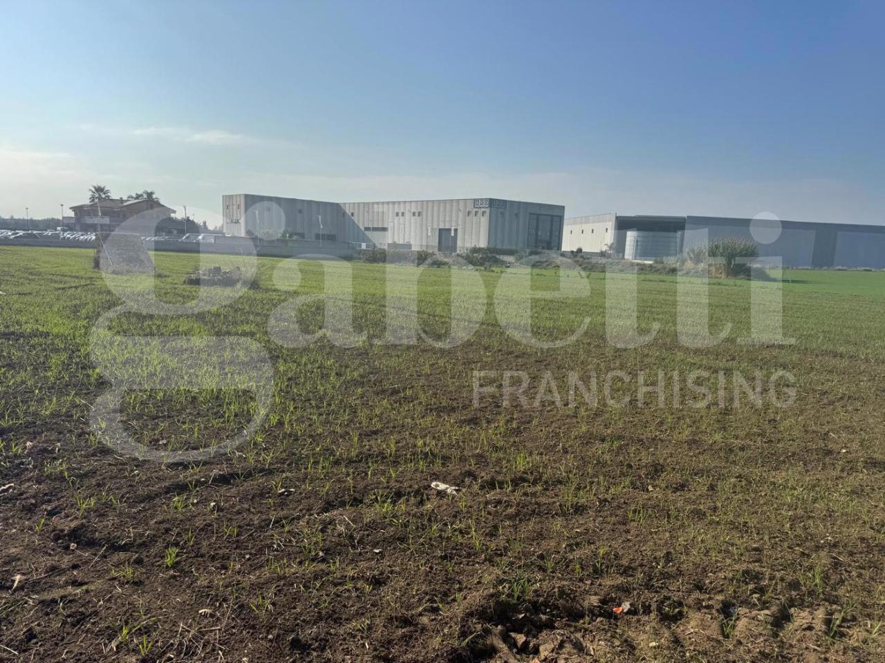 immagine annuncio 2 di 4