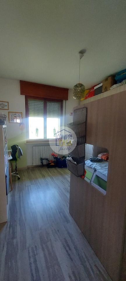 immagine annuncio 9 di 14