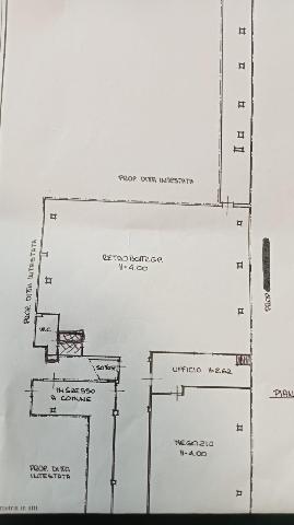 insertion image