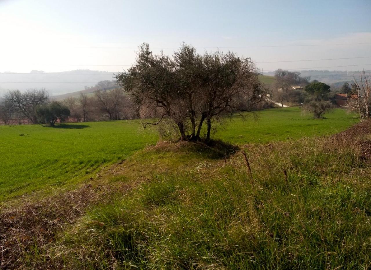immagine annuncio 7 di 13