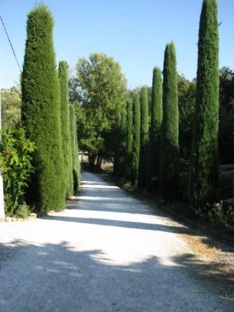 Rustico in Via Poggio Vittorio 1, Lastra a Signa - Foto 1