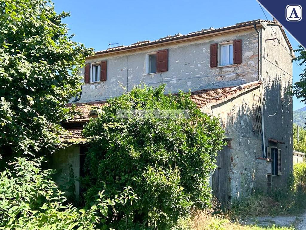 immagine annuncio 8 di 11