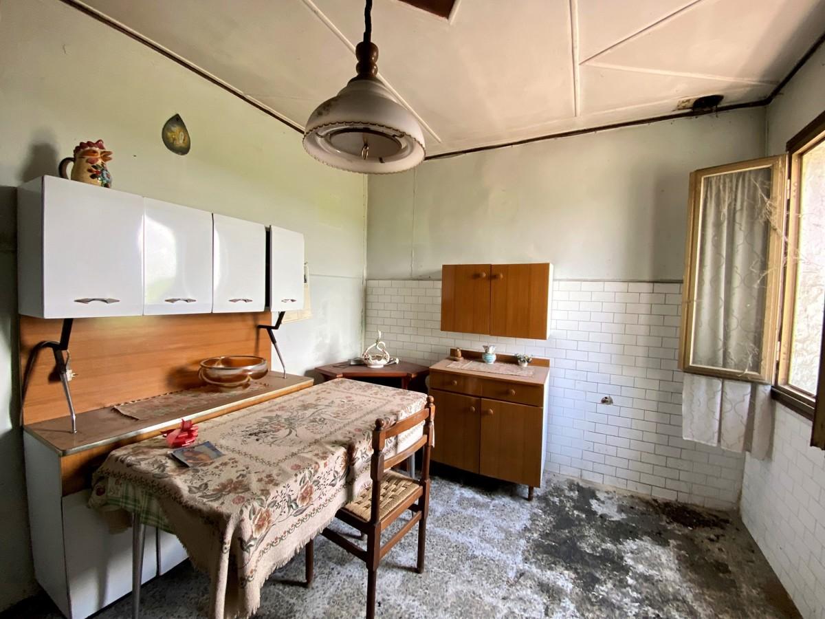 immagine annuncio 5 di 8