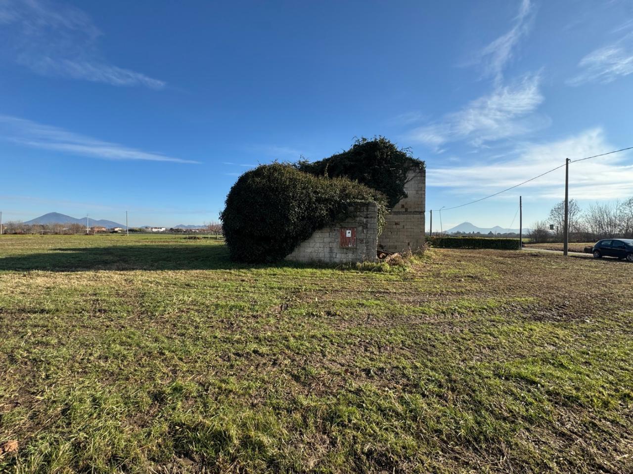 immagine annuncio 8 di 14