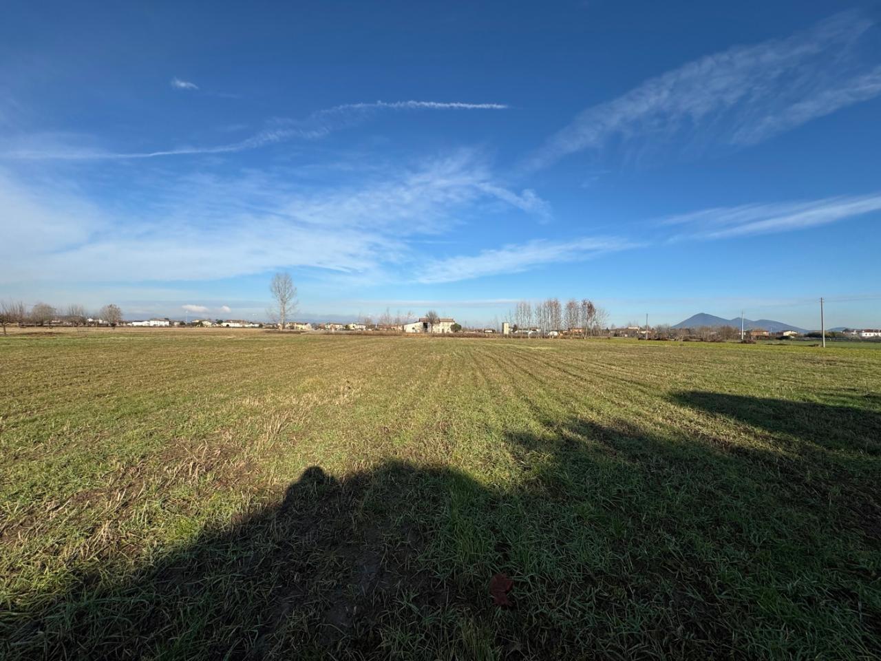 immagine annuncio 11 di 14