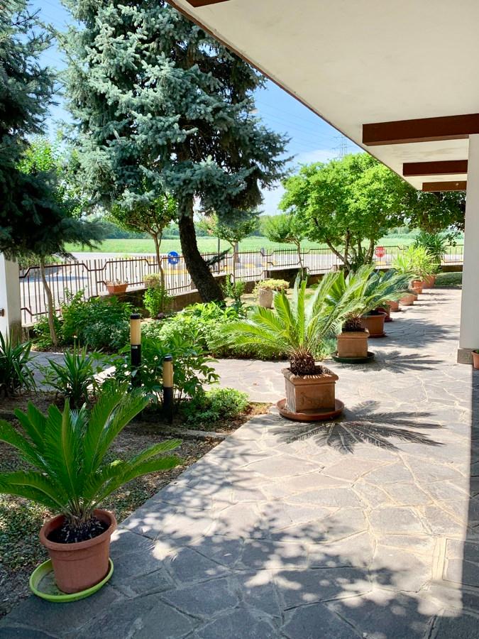 immagine annuncio 7 di 9