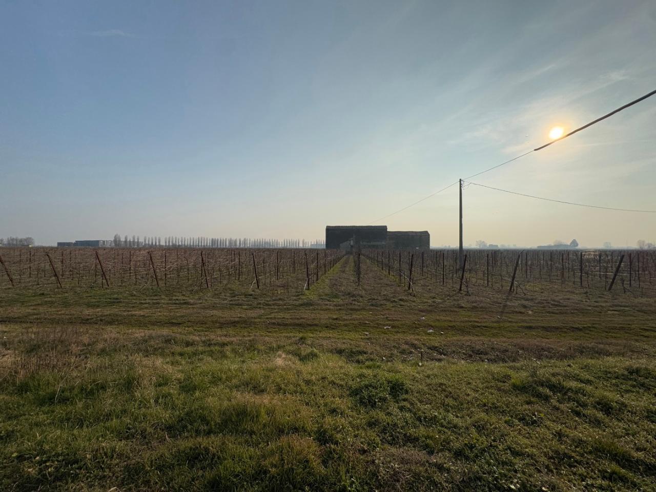 immagine annuncio 12 di 13