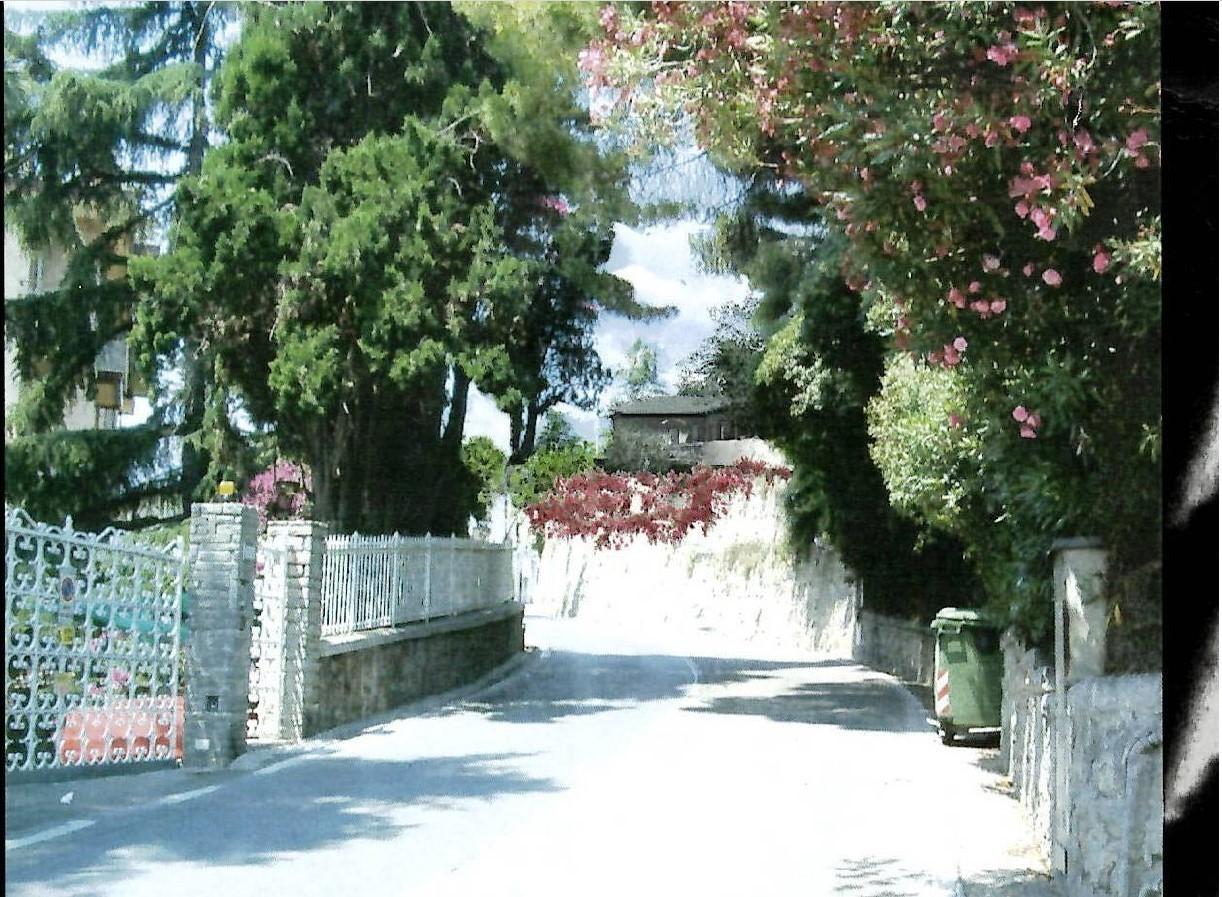 immagine annuncio 7 di 12