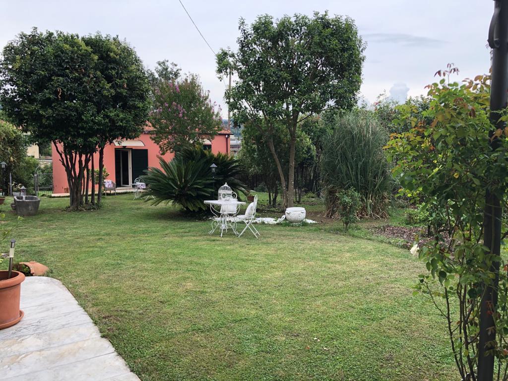 immagine annuncio 2 di 12