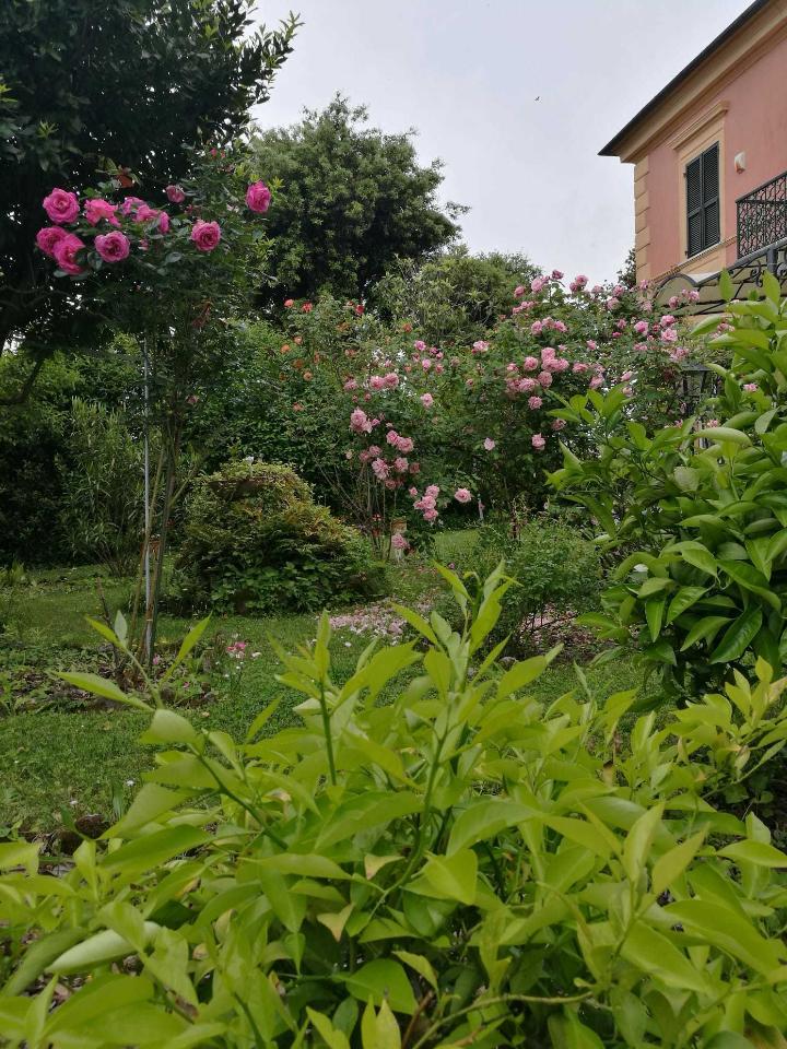 immagine annuncio 5 di 12