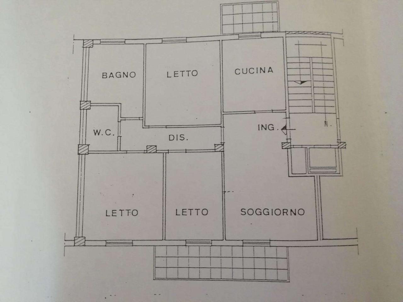 immagine annuncio 3 di 11