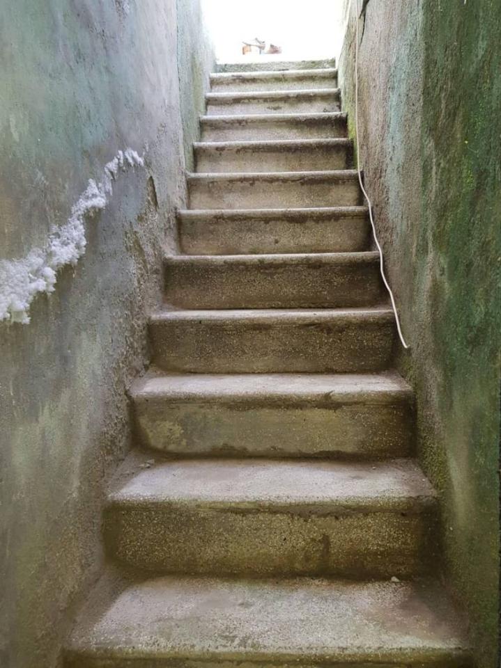 immagine annuncio 5 di 11