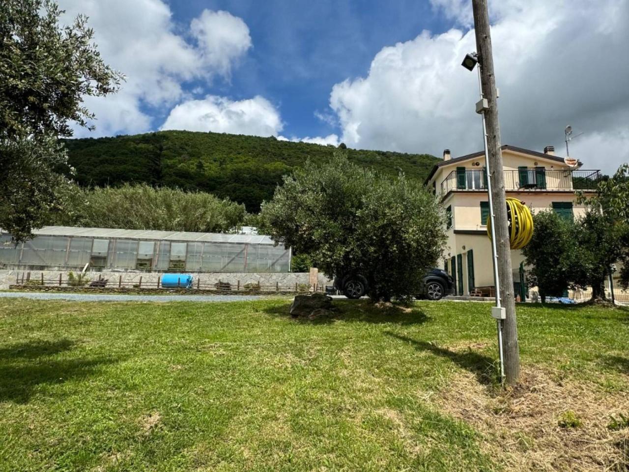 immagine annuncio 6 di 11