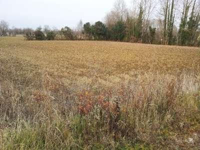 Terreno agricolo in Via, Brugnera - Foto 1