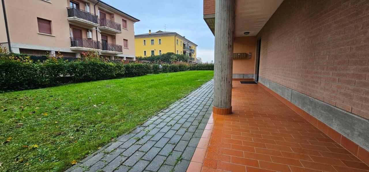 immagine annuncio 1 di 12