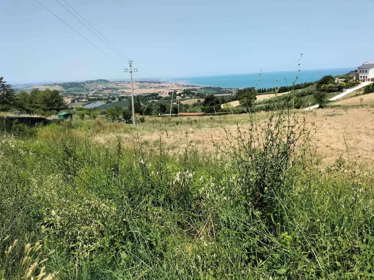 Terreno agricolo in vendita a Ancona