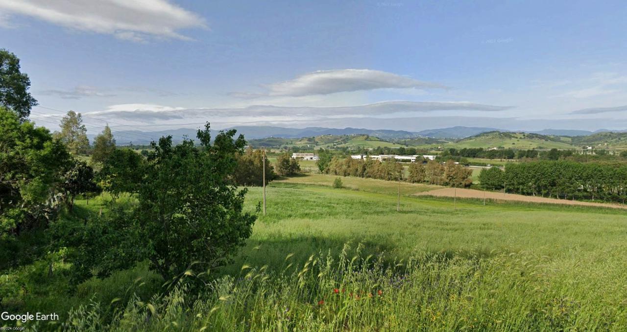 Azienda agricola in Contrada Mandrie, Santa Sofia D'Epiro, {3} - Foto 2