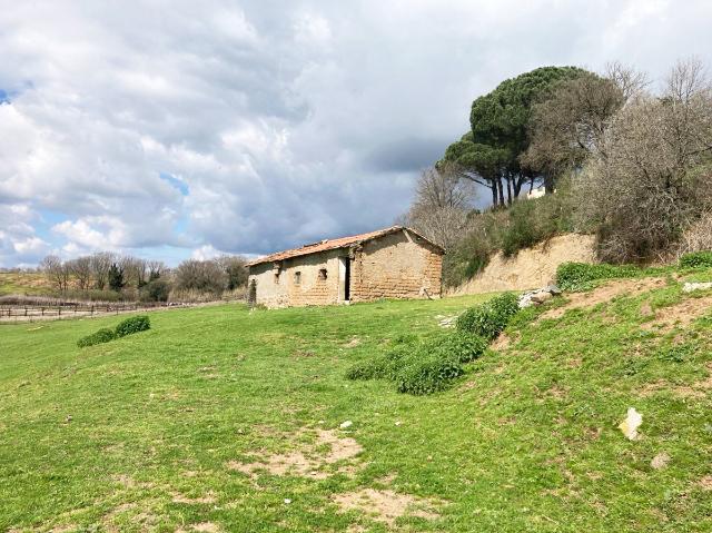 Agrargrundstück in Località Monte Calderone  Snc, Nepi - Foto 1