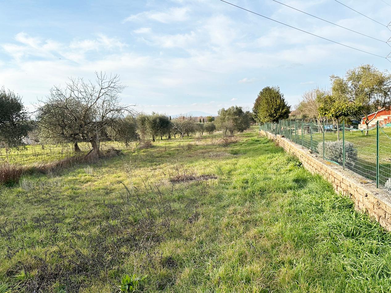 immagine annuncio 2 di 3
