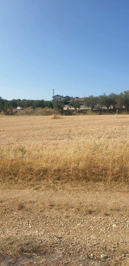 Terreno agricolo in vendita a Mosciano Sant'Angelo