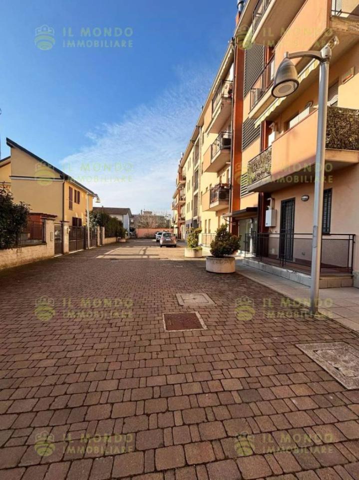 immagine annuncio 1 di 15