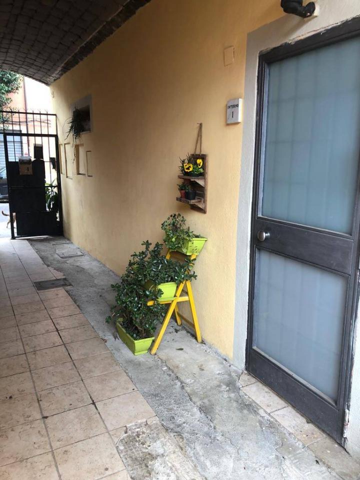 immagine annuncio 11 di 14