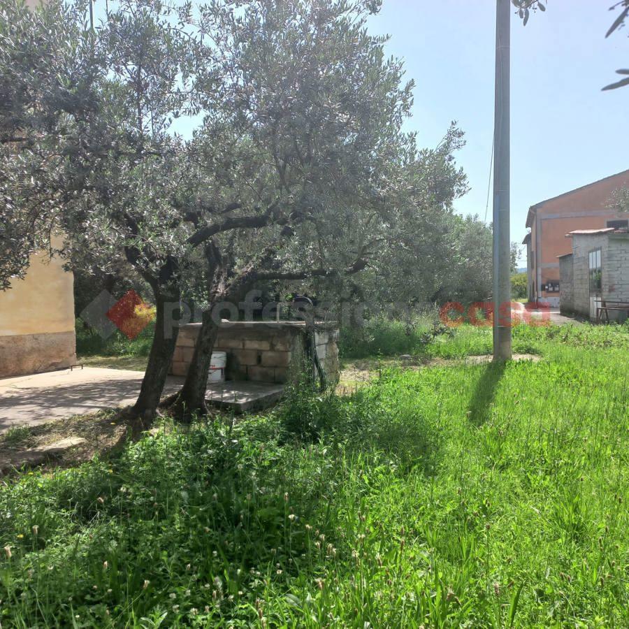 immagine annuncio 4 di 12