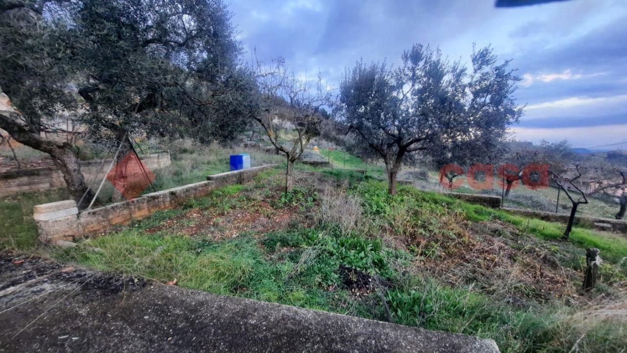 immagine annuncio 5 di 9
