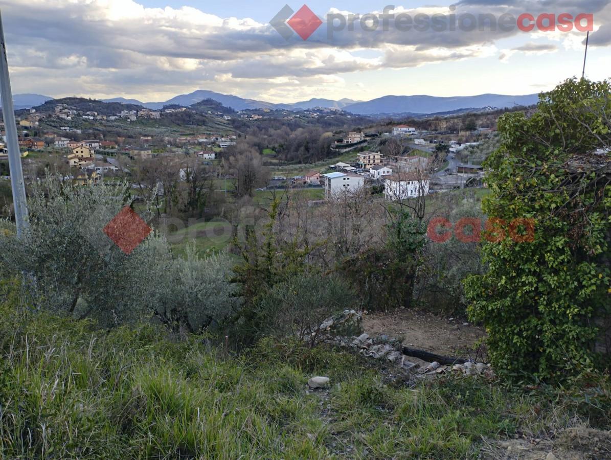 immagine annuncio 6 di 8