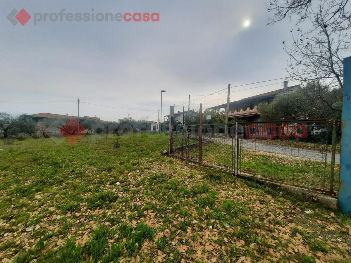 immagine annuncio 5 di 6