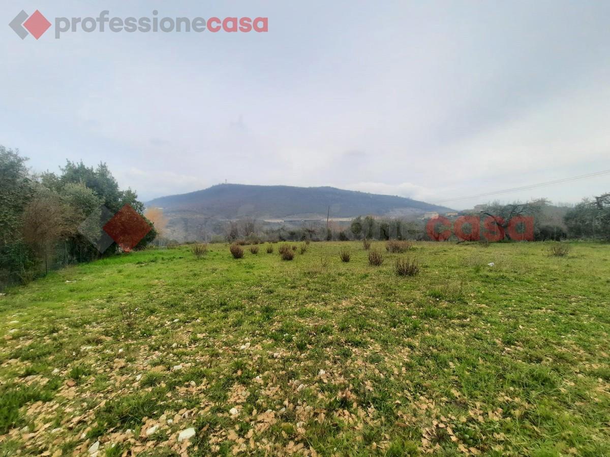 immagine annuncio 4 di 6