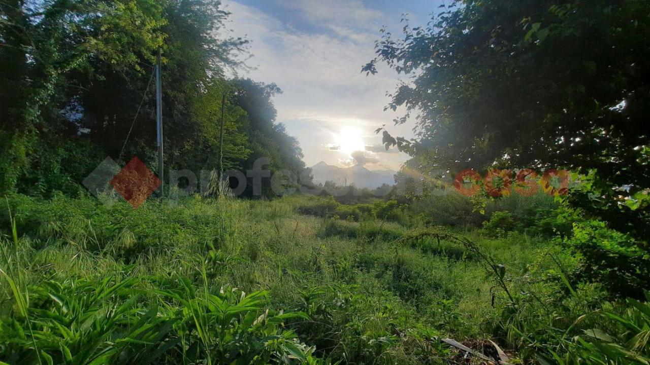 immagine annuncio 4 di 8