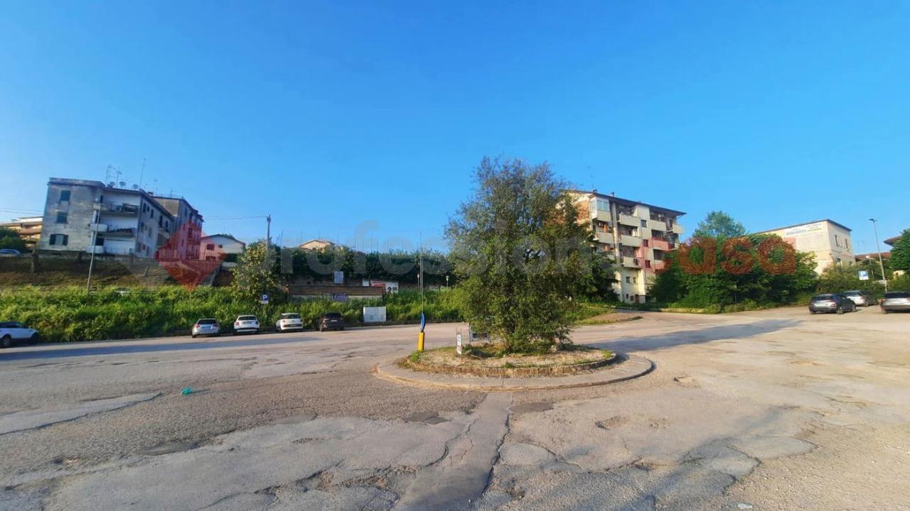 immagine annuncio 5 di 8