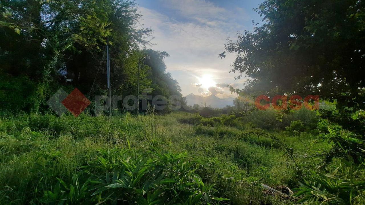 immagine annuncio 7 di 8