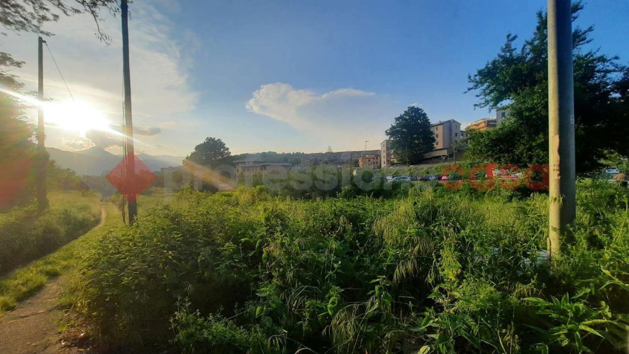 immagine annuncio 6 di 8