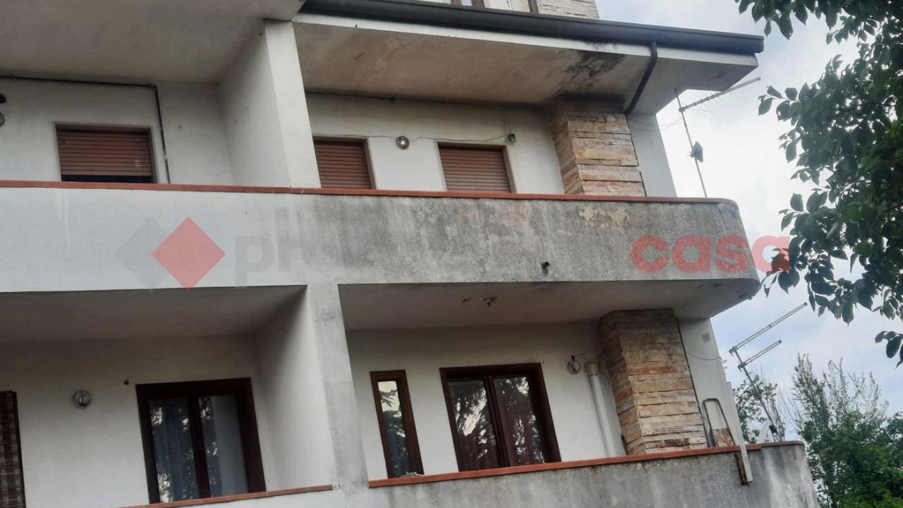 immagine annuncio 12 di 13